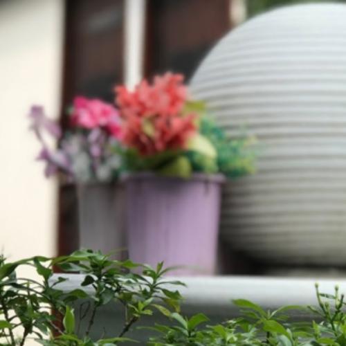 สมาชิกหมายเลข 5943572