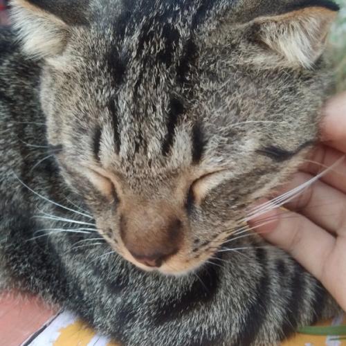 สมาชิกหมายเลข 5943744