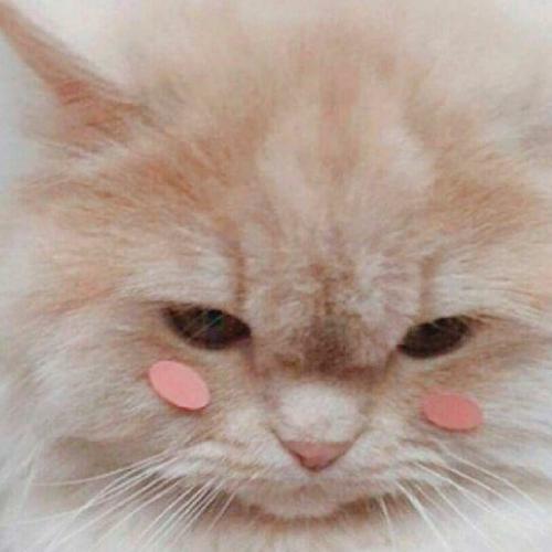 สมาชิกหมายเลข 5423777