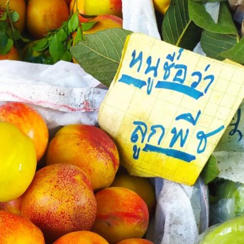 สมาชิกหมายเลข 6548268