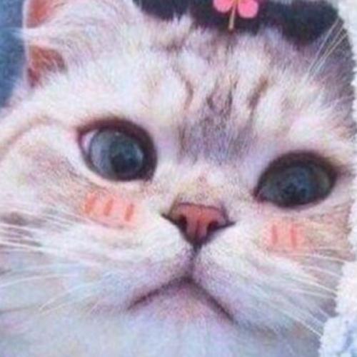 สมาชิกหมายเลข 6548333