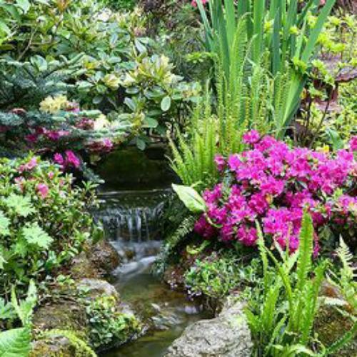 สมาชิกหมายเลข 6483739