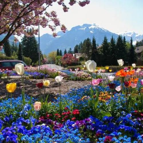 สมาชิกหมายเลข 7270873