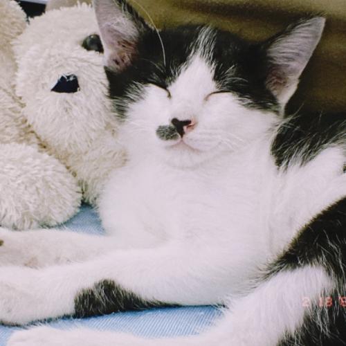 สมาชิกหมายเลข 2516951