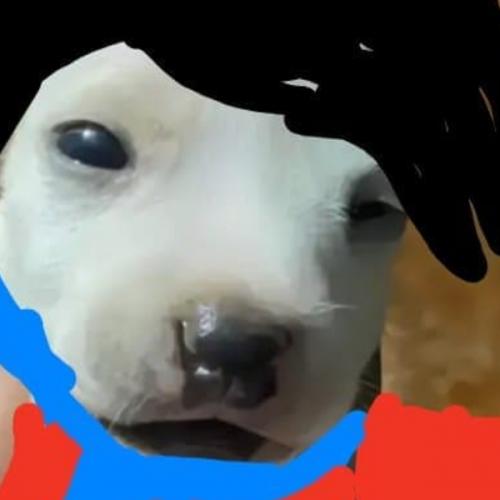 สมาชิกหมายเลข 8090891