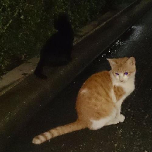 สมาชิกหมายเลข 8092647