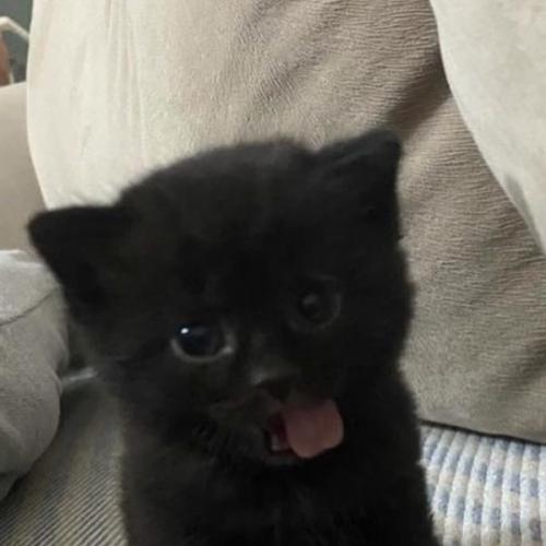 สมาชิกหมายเลข 8255740