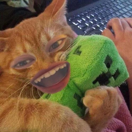 สมาชิกหมายเลข 8337012