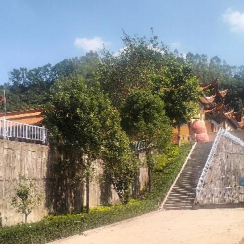 สมาชิกหมายเลข 9101877