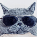 สมาชิกหมายเลข 4672380