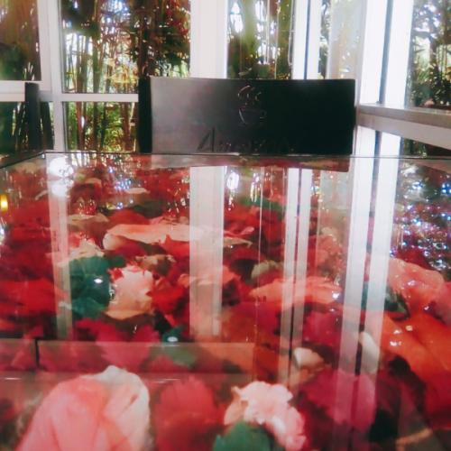 สมาชิกหมายเลข 5427518