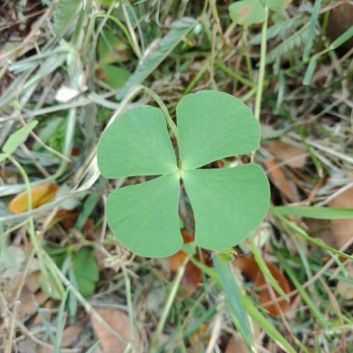 สมาชิกหมายเลข 5944251