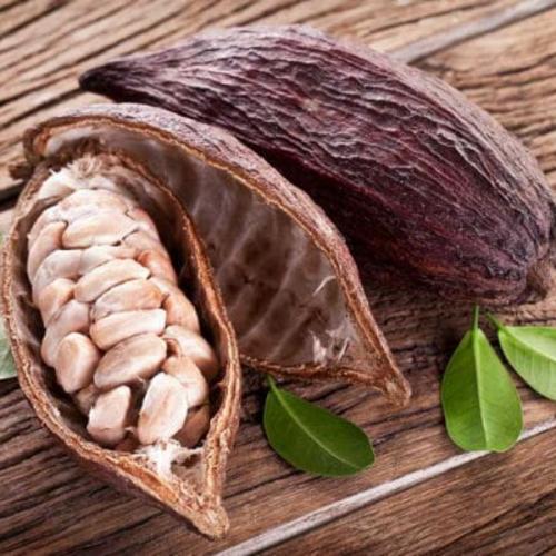 สมาชิกหมายเลข 4440799