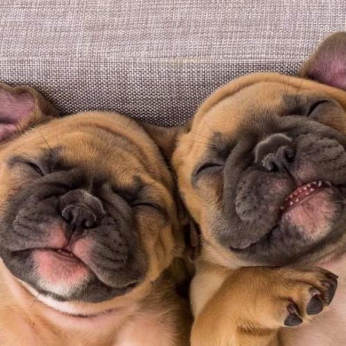 สมาชิกหมายเลข 6095559