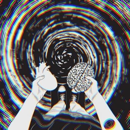 สมาชิกหมายเลข 9120122