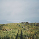 สมาชิกหมายเลข 3233979