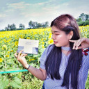 สมาชิกหมายเลข 4286239