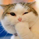 นางฟ้าชีตาร์