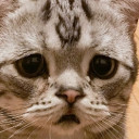 สมาชิกหมายเลข 5428808