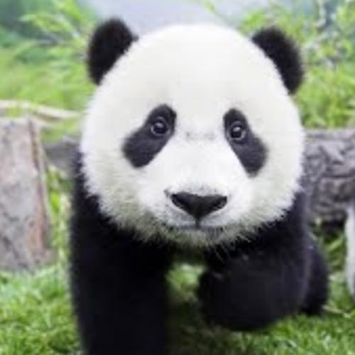 สมาชิกหมายเลข 5424982