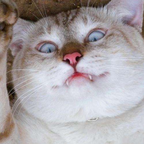 สมาชิกหมายเลข 3924202