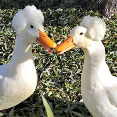 สมาชิกหมายเลข 5371845