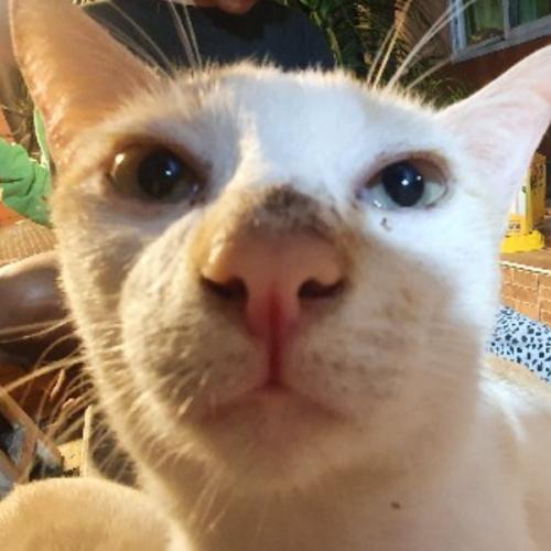 สมาชิกหมายเลข 5880791