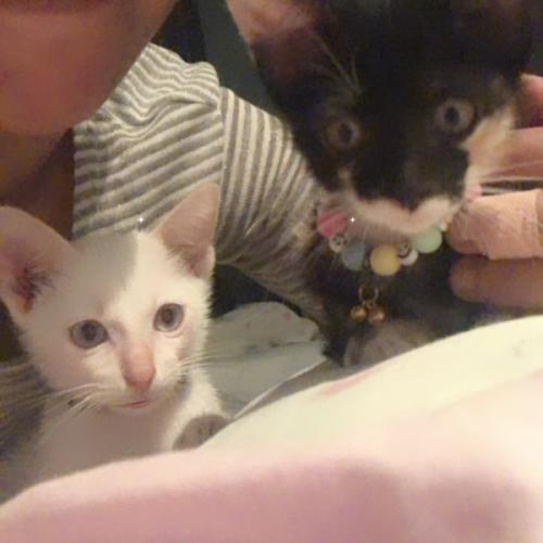 สมาชิกหมายเลข 8094600