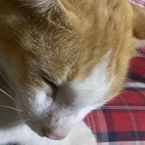 สมาชิกหมายเลข 5051858