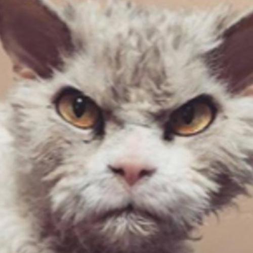 สมาชิกหมายเลข 9121328