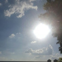 สมาชิกหมายเลข 1175515