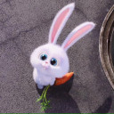 สมาชิกหมายเลข 1905035