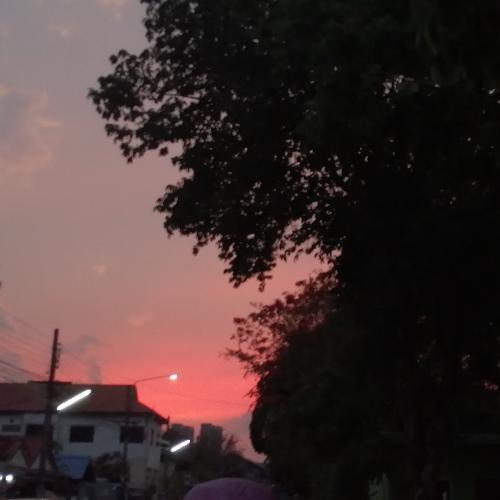 สมาชิกหมายเลข 5386636