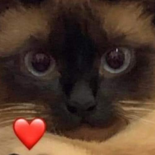 สมาชิกหมายเลข 6232152