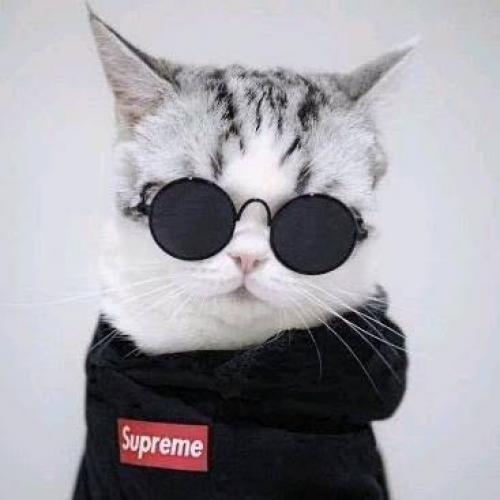 สมาชิกหมายเลข 6488210