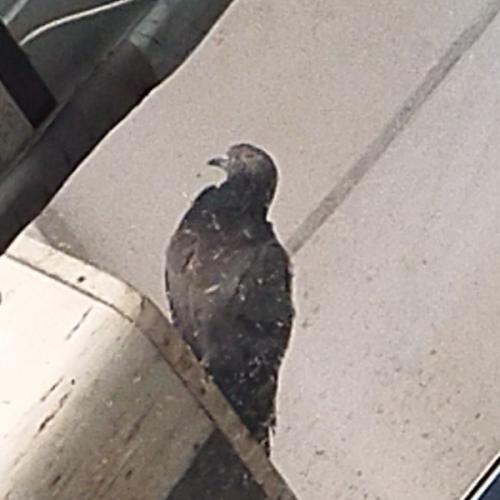 สมาชิกหมายเลข 3580549