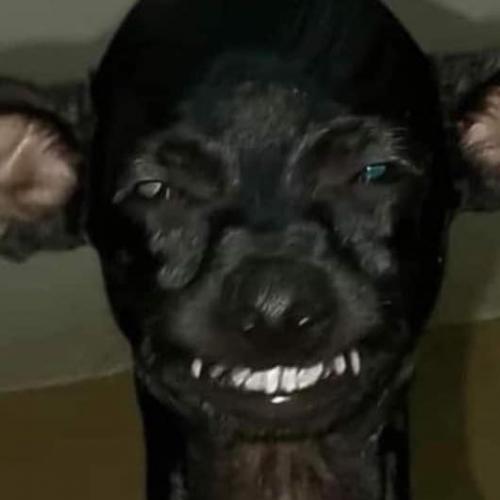 สมาชิกหมายเลข 8095841