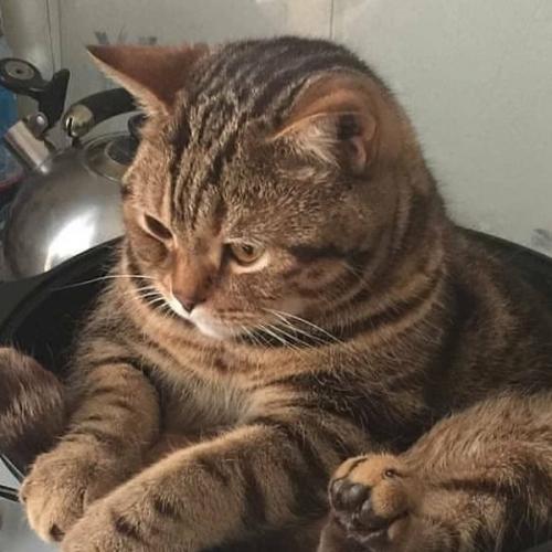 สมาชิกหมายเลข 5537007