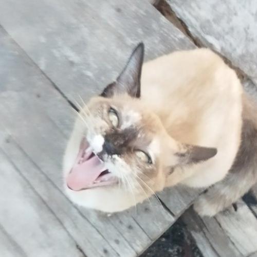 สมาชิกหมายเลข 9123051