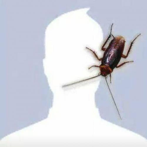 สมาชิกหมายเลข 3961583