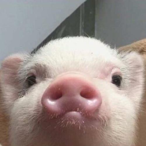 สมาชิกหมายเลข 4673710