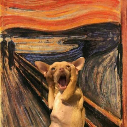 สมาชิกหมายเลข 5653072