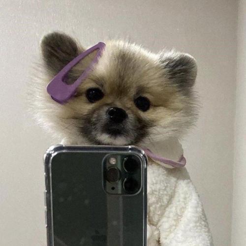 สมาชิกหมายเลข 4584237