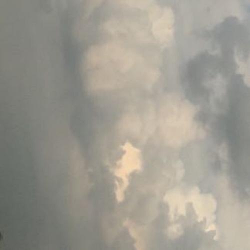 สมาชิกหมายเลข 7274020