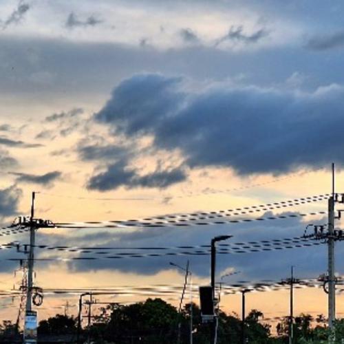 สมาชิกหมายเลข 3713978