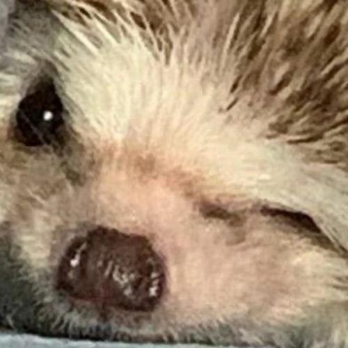 สมาชิกหมายเลข 6707536