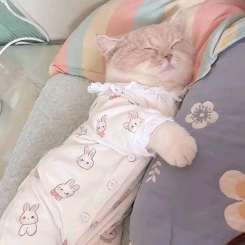 สมาชิกหมายเลข 5615357