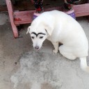 สมาชิกหมายเลข 3826224