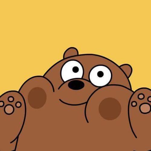 สมาชิกหมายเลข 4520213