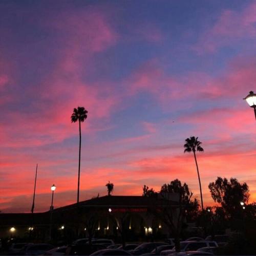 สมาชิกหมายเลข 4680609